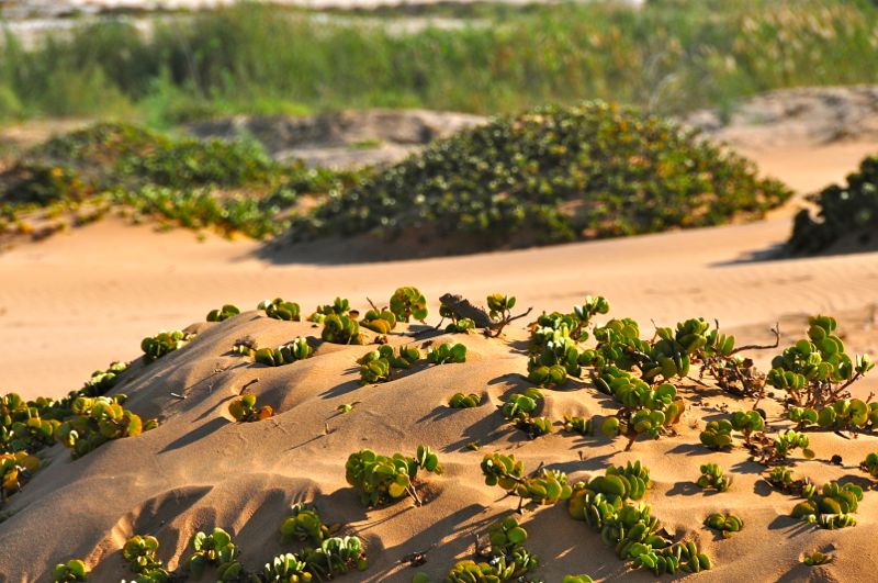 Namibia
